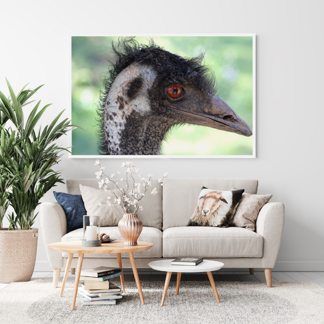 Curious Emu original abstract contextualised office art modern decor photo print by Blair Montague Drake